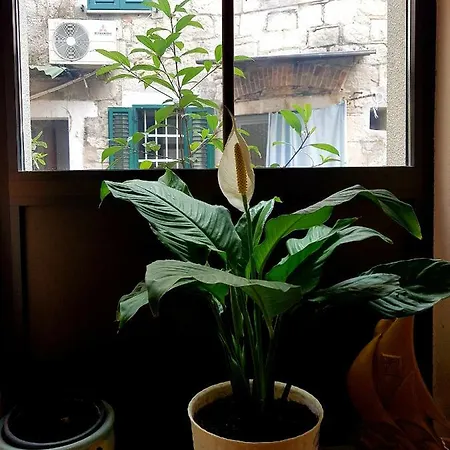 Centar App.dijana Apartamento Split